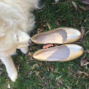 Beautiful gold flats